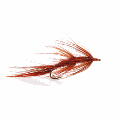 A.Jensen SEATROUT - Omø Børsten